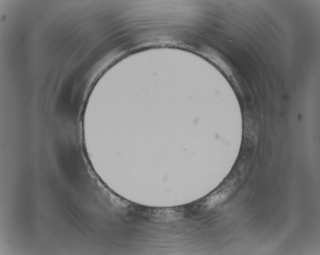 X0000070210807200605301401