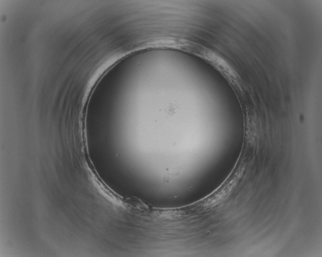 X0000070210808200605301401