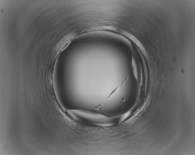 X0000070210809200605301401