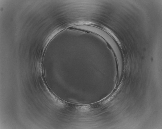 X0000070210810200605301401