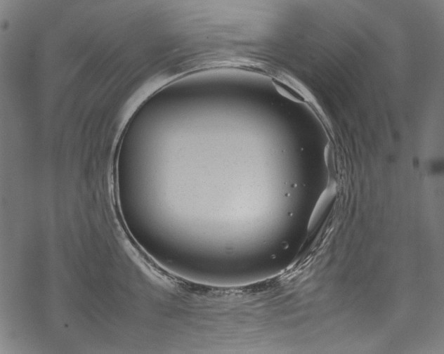 X0000070210811200605301401