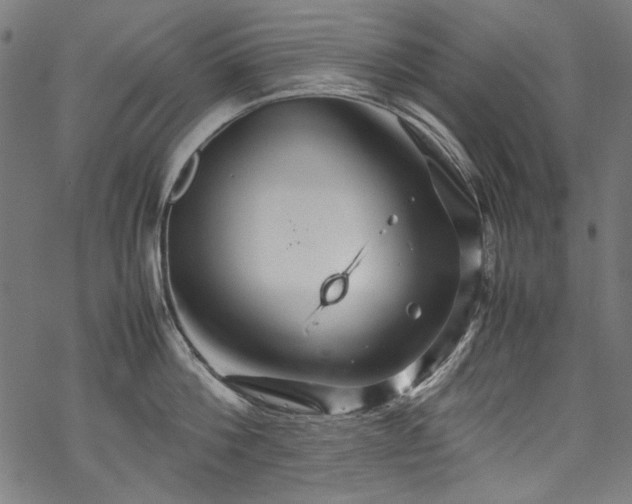 X0000070210812200605301401