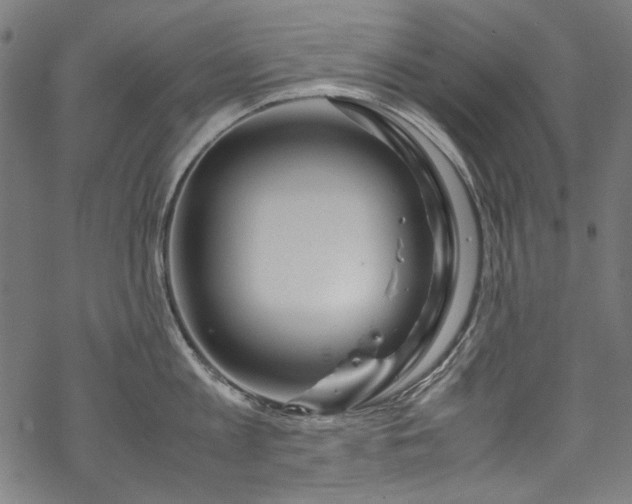 X0000070210813200605301401