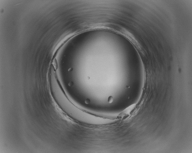 X0000070210814200605301401