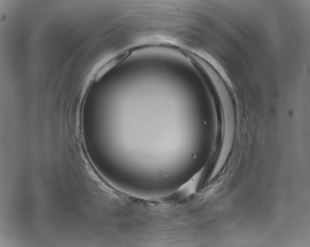 X0000070210815200605301401