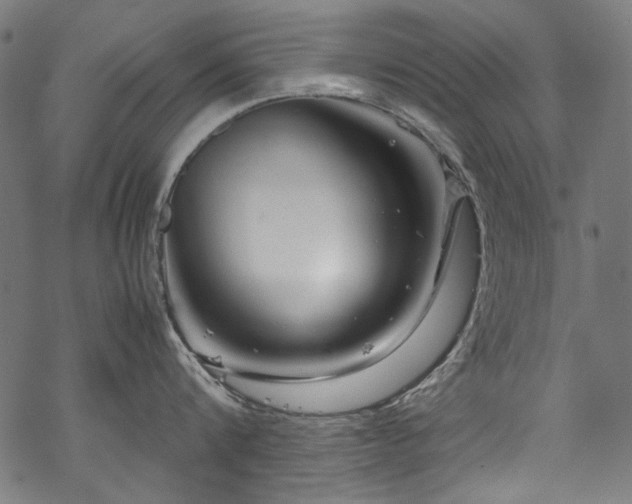 X0000070210816200605301401