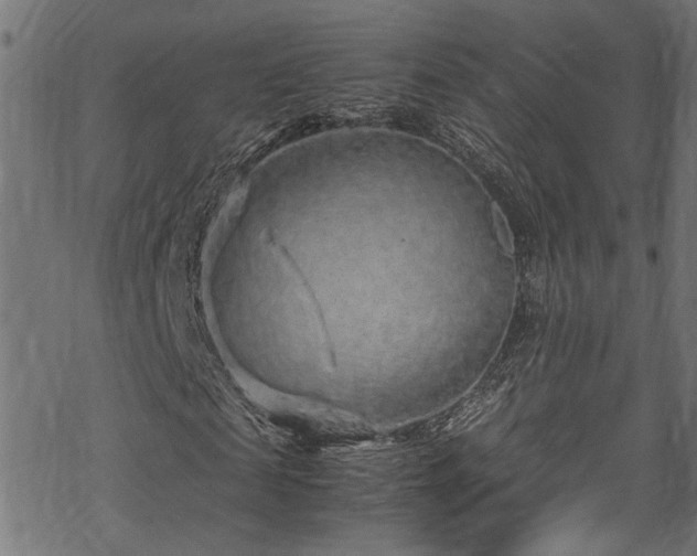 X0000070210817200605301400