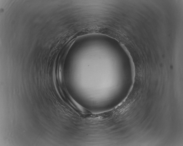 X0000070210818200605301400