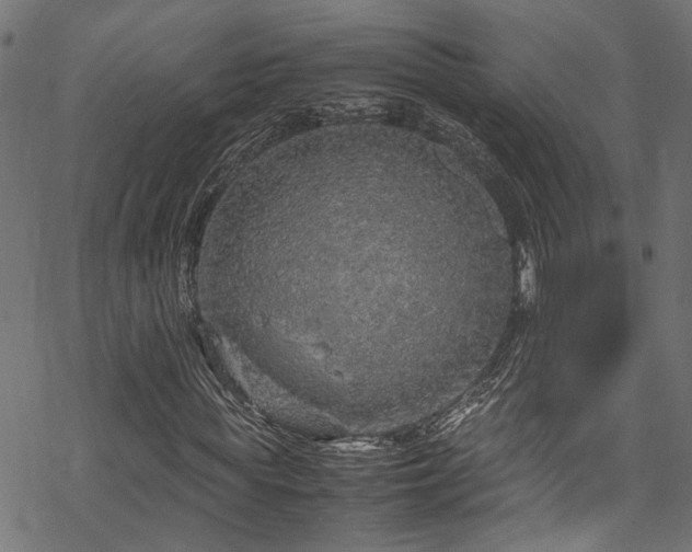 X0000070210819200605301400