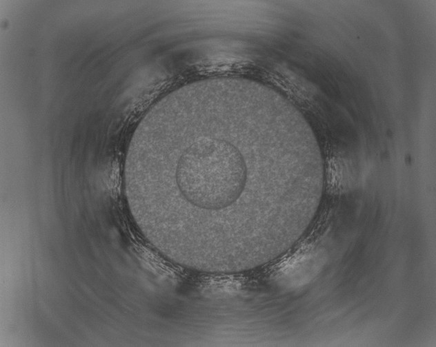 X0000070210820200605301400