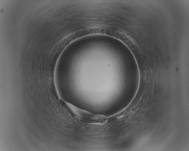 X0000070210821200605301400