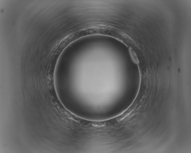 X0000070210822200605301400