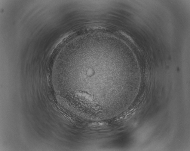 X0000070210823200605301400