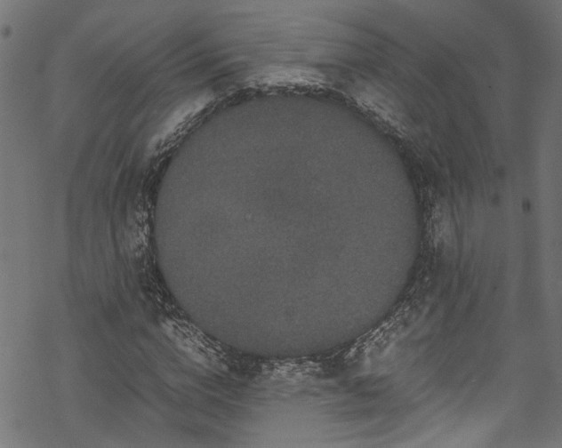 X0000070210824200605301400