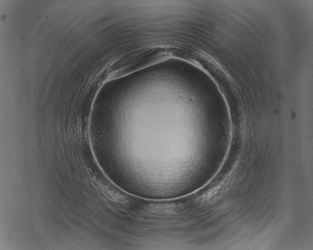 X0000070210825200605301400