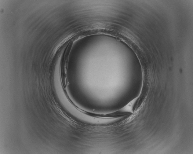 X0000070210826200605301400