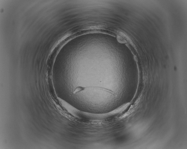 X0000070210827200605301400