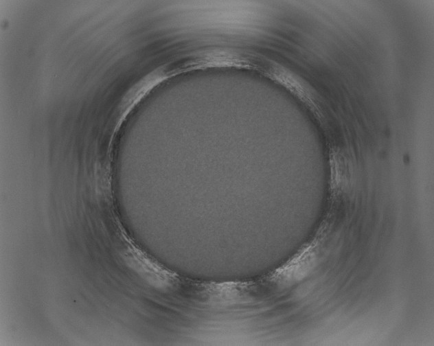 X0000070210828200605301400