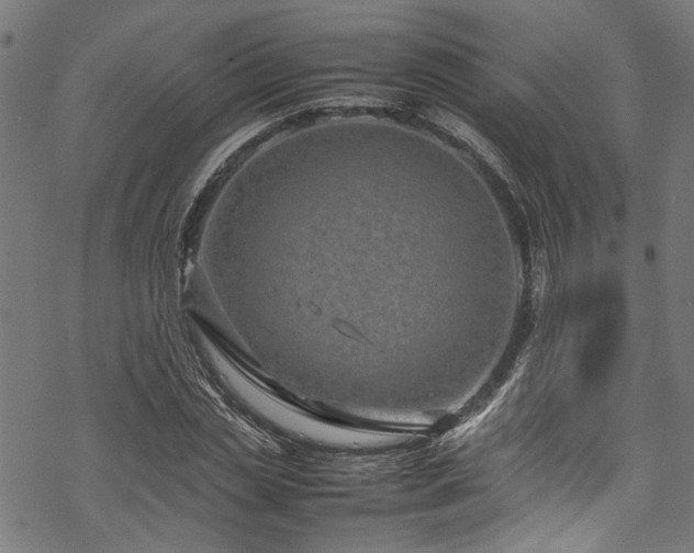 X0000070210829200605301400