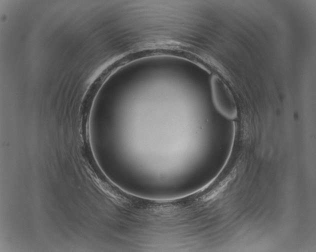 X0000070210830200605301400