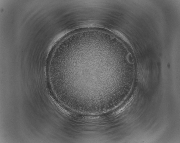 X0000070210831200605301400