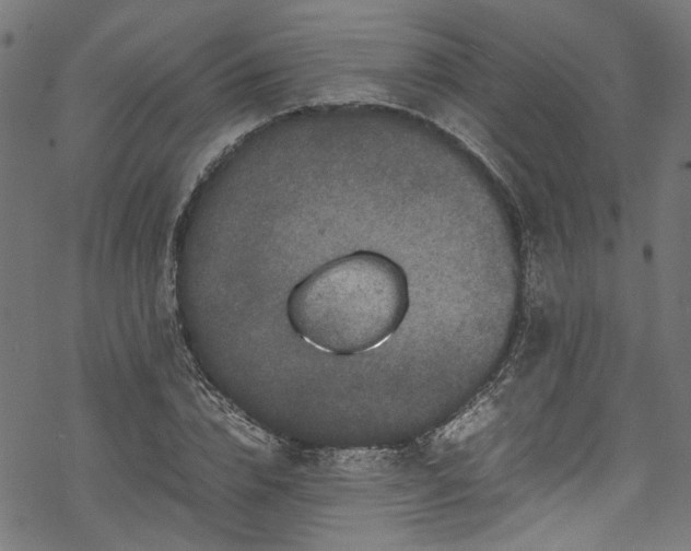 X0000070210832200605301400