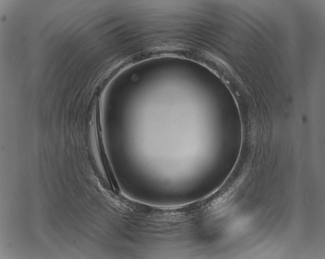 X0000070210833200605301400