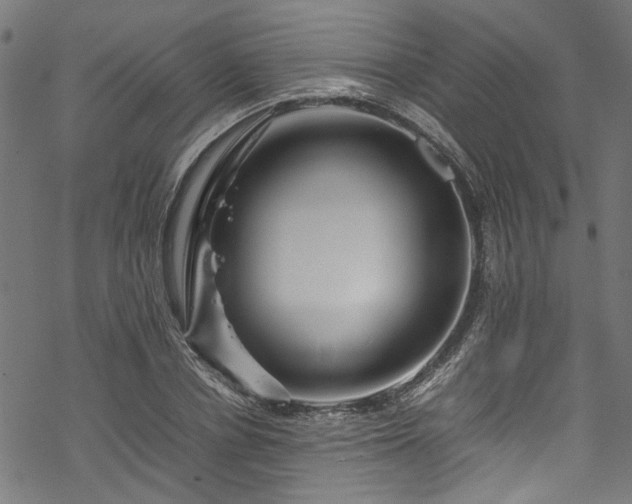 X0000070210834200605301400