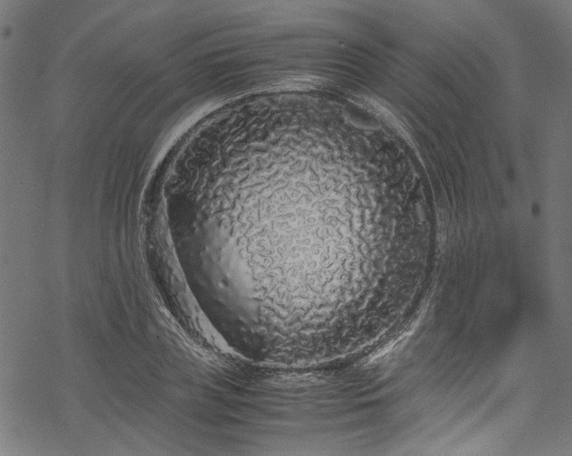 X0000070210835200605301400