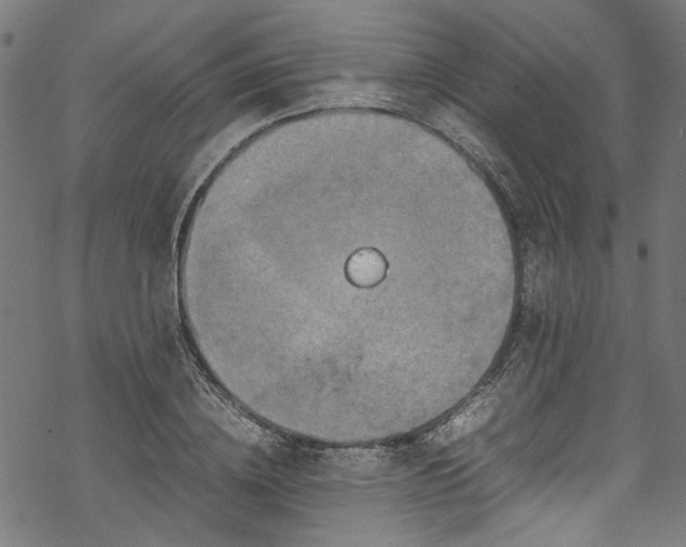 X0000070210836200605301400