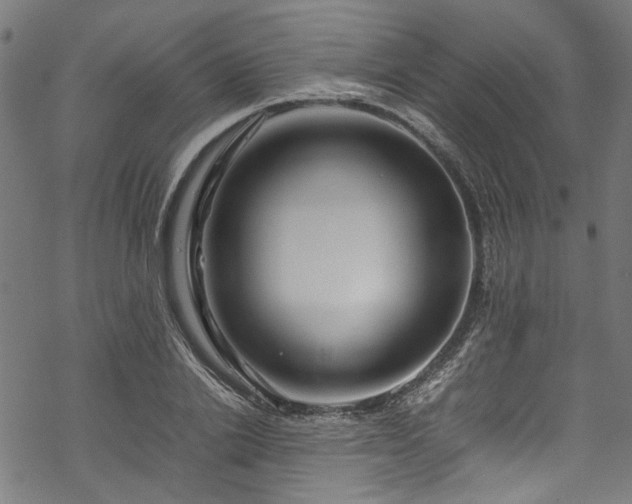 X0000070210838200605301400