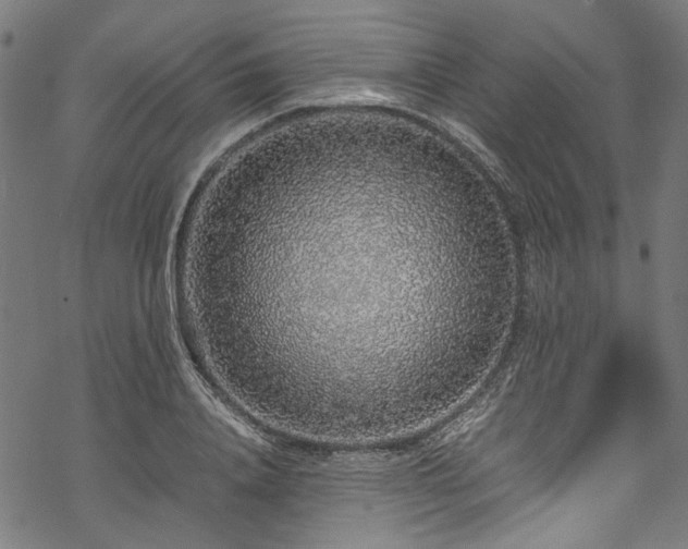 X0000070210840200605301400