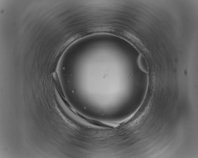 X0000070210841200605301400