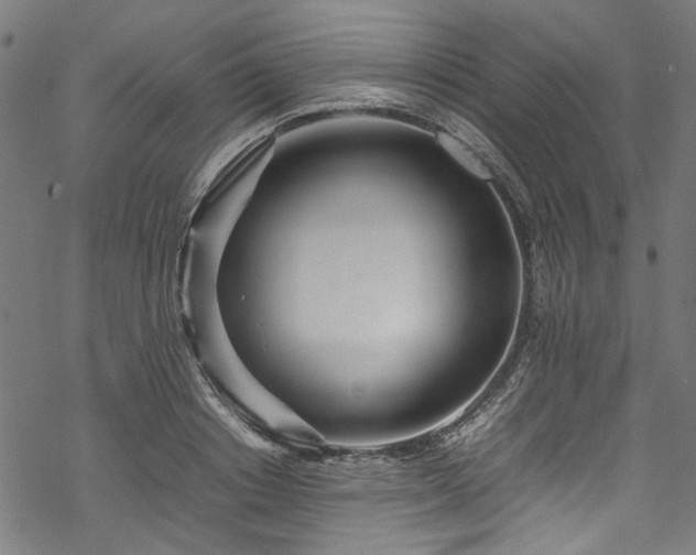 X0000070210842200605301400