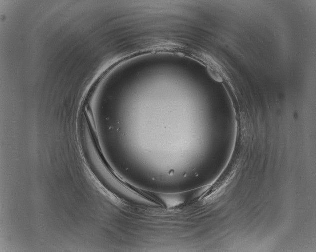 X0000070210843200605301400