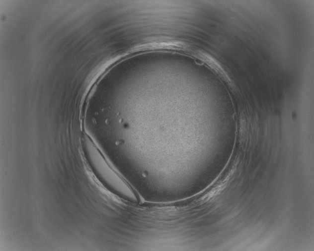 X0000070210844200605301400