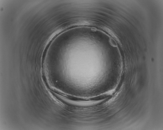 X0000070210845200605301400