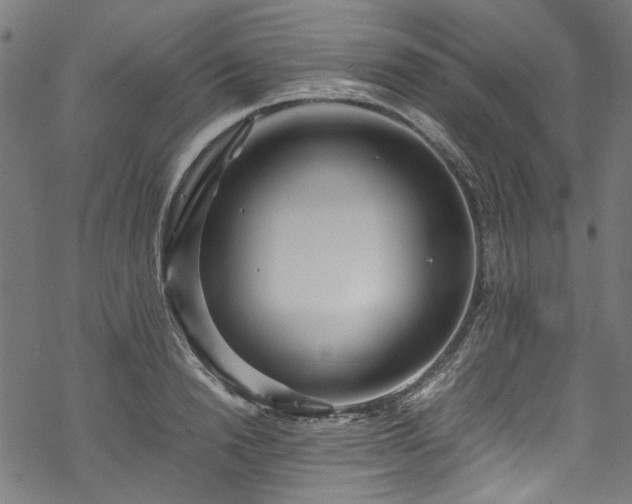 X0000070210846200605301400