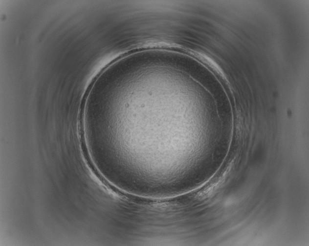 X0000070210847200605301400