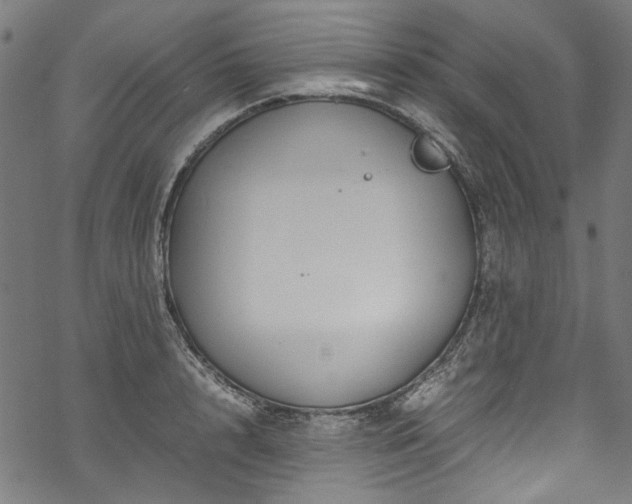 X0000070210848200605301400