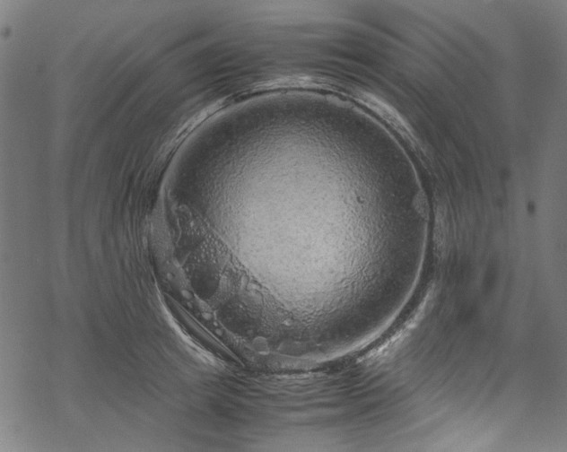 X0000070210849200605301400