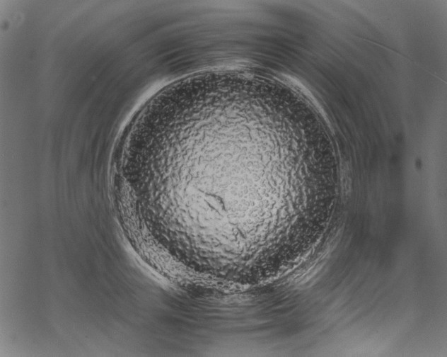 X0000070210851200605301400