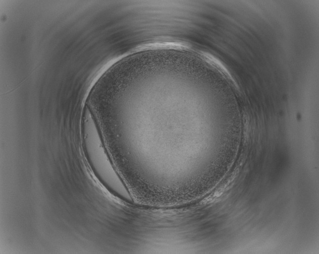 X0000070210852200605301400