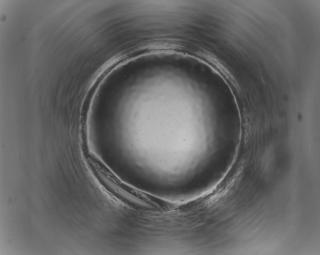 X0000070210853200605301400