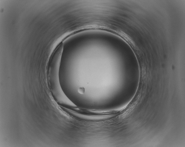 X0000070210854200605301400