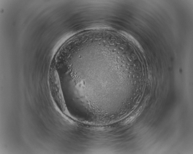 X0000070210855200605301400