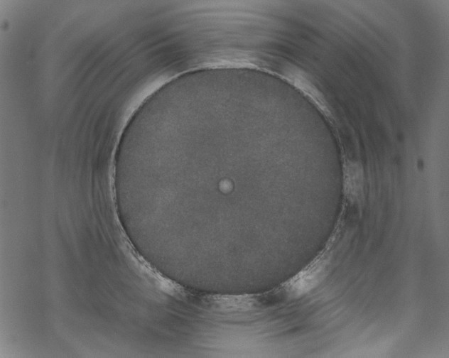 X0000070210856200605301400