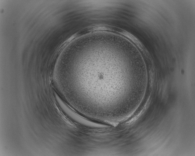 X0000070210857200605301401