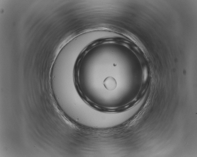 X0000070210858200605301401