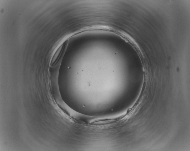 X0000070210860200605301401